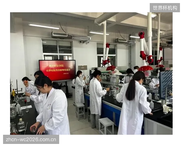 基于技能等级的信用评级，将决定未来二手体育装备C2C交易平台的市场格局与信任基础